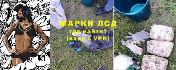стаф Покровск