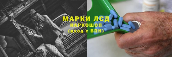 стаф Покровск