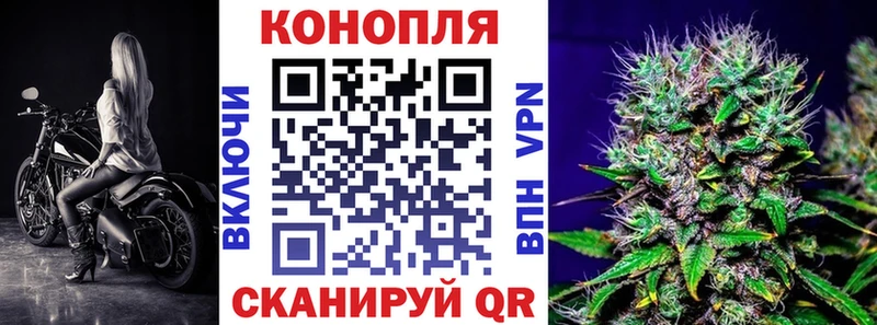 Купить  Зарайск  Каннабис ГИДРОПОН 